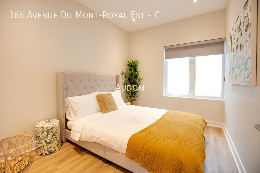 366 Av Du Mont-Royal E #C - Photo 3 of 8