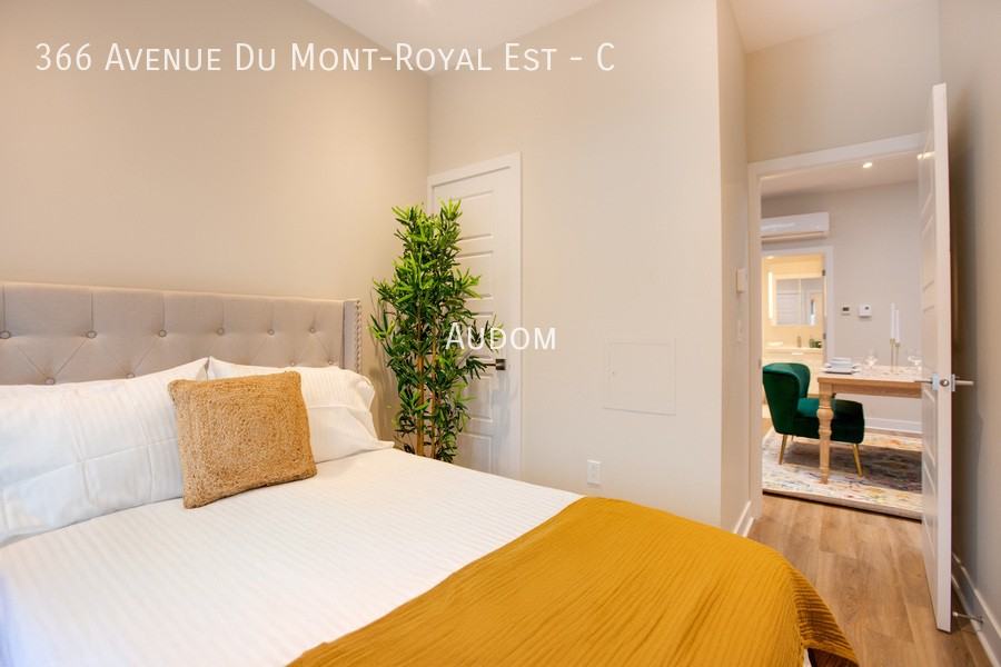 366 Av Du Mont-Royal E #C - Photo 4 of 8