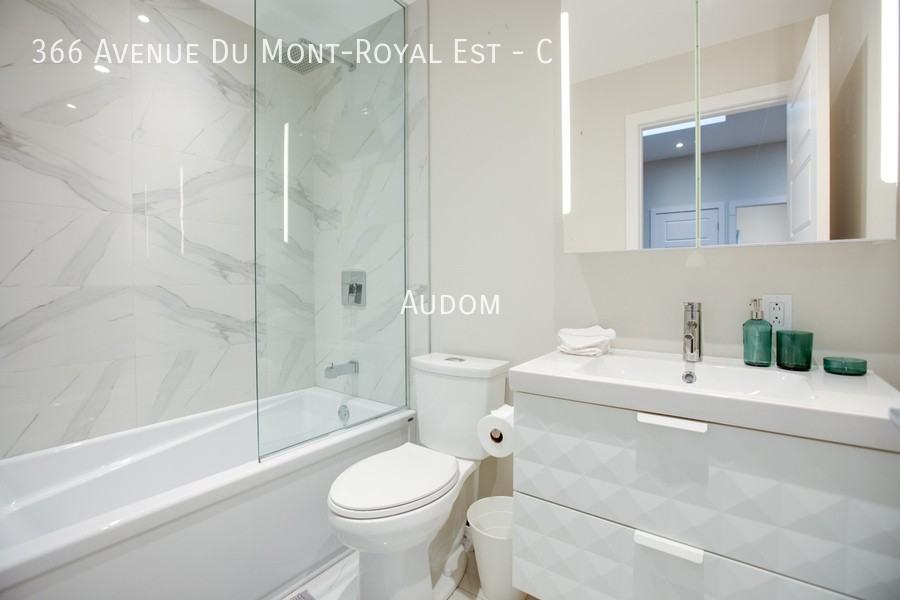 366 Av Du Mont-Royal E #C - Photo 5 of 8