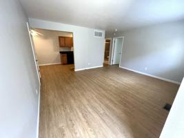 featured image of Brentshire Walk #8742