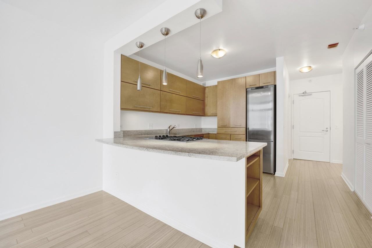 600 N Dearborn St #603 - Photo 3 of 8