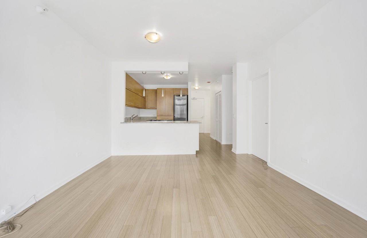 600 N Dearborn St #603 - Photo 6 of 8