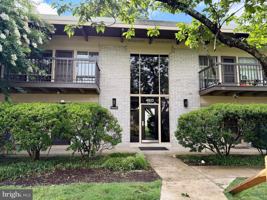 featured image of 4933 Americana Dr #205