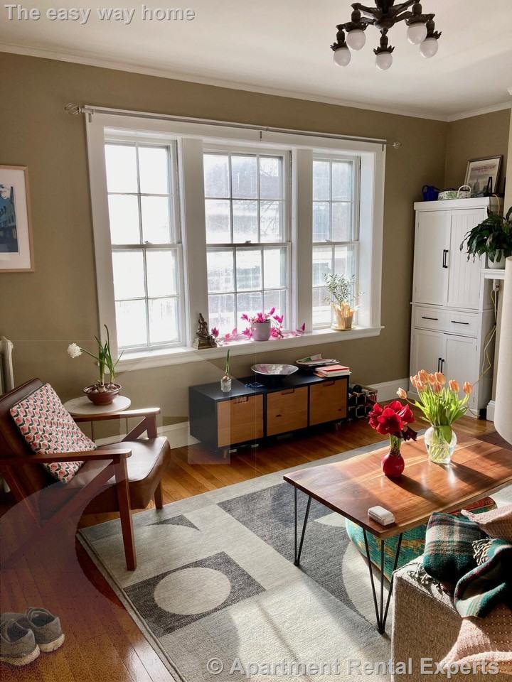 285 Harvard St #307 - Photo 4 of 17