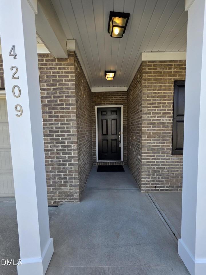 4209 Auburn Hills Dr - Photo 4 of 47
