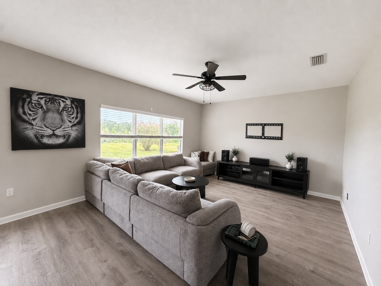 647 Sunny Stroll Dr - Photo 3 of 14
