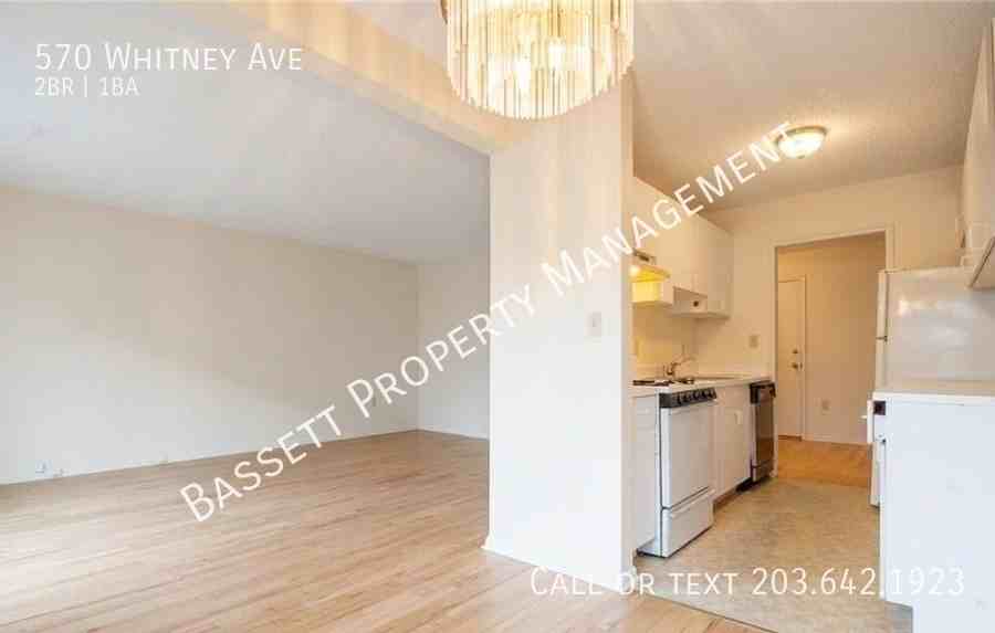 570 Whitney Ave - Photo 3 of 6