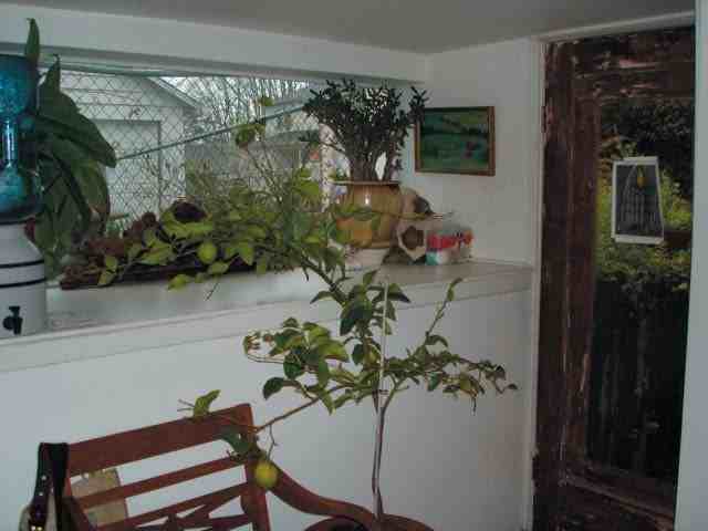 1715 E Marion St #MIL - Photo 2 of 4