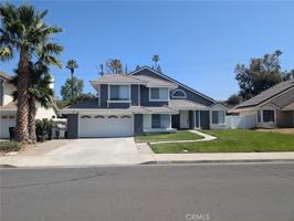 featured image of Palm Shadows Dr