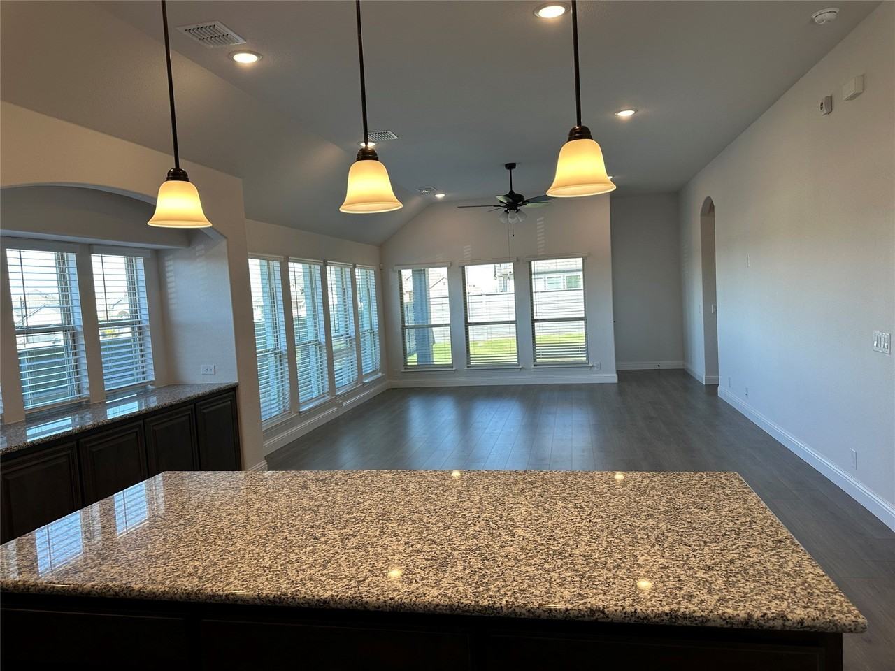 805 Twisted Leaf Ln - Photo 2 of 10