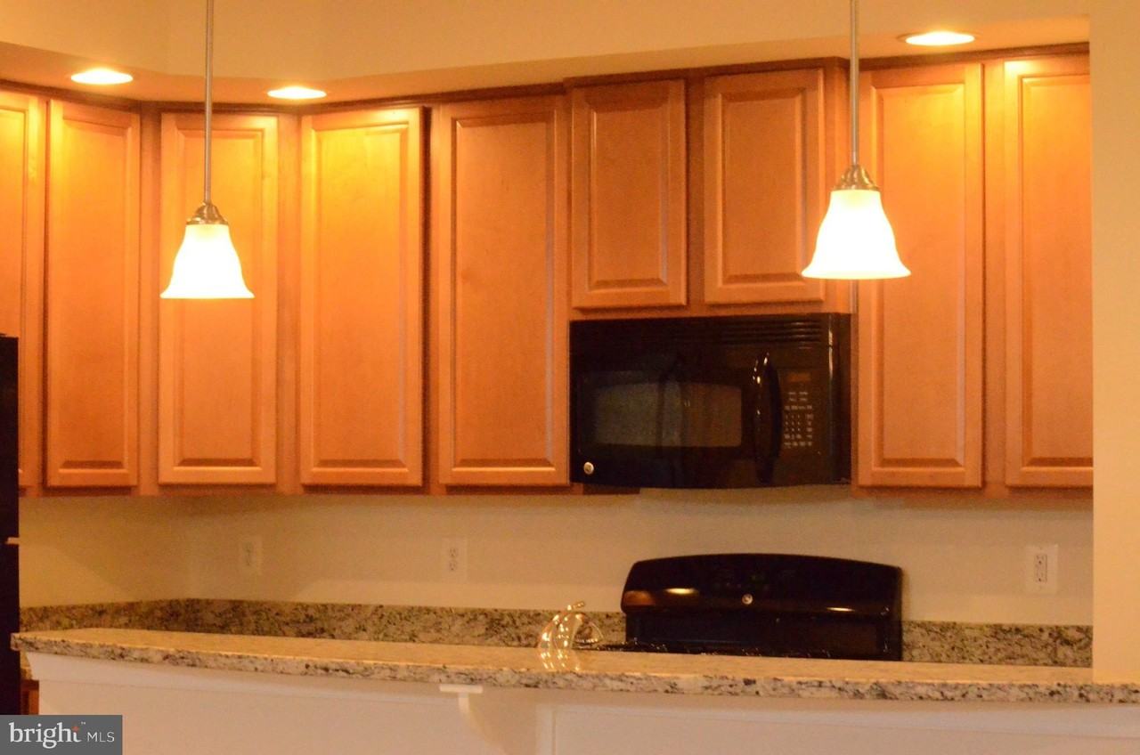 24598 Johnson Oak Ter - Photo 6 of 27