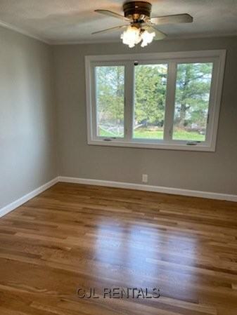 21 Woburn St - Photo 3 of 36