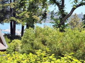 61 Girard Ave - Photo 1 of 1