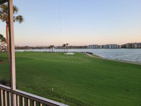 8056 Queen Palm Ln - Photo 1 of 1