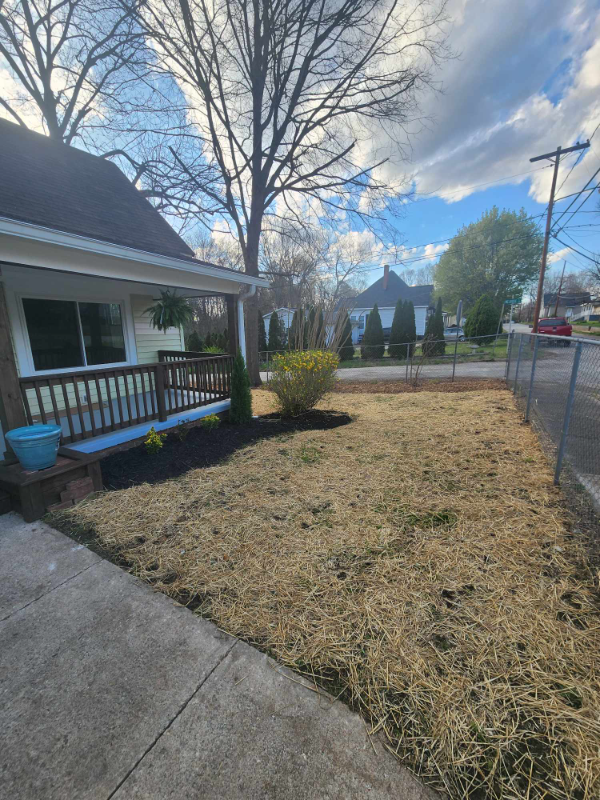 403 Vance Ave - Photo 4 of 9