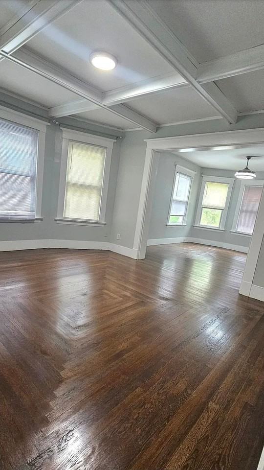 381 Norton St #2