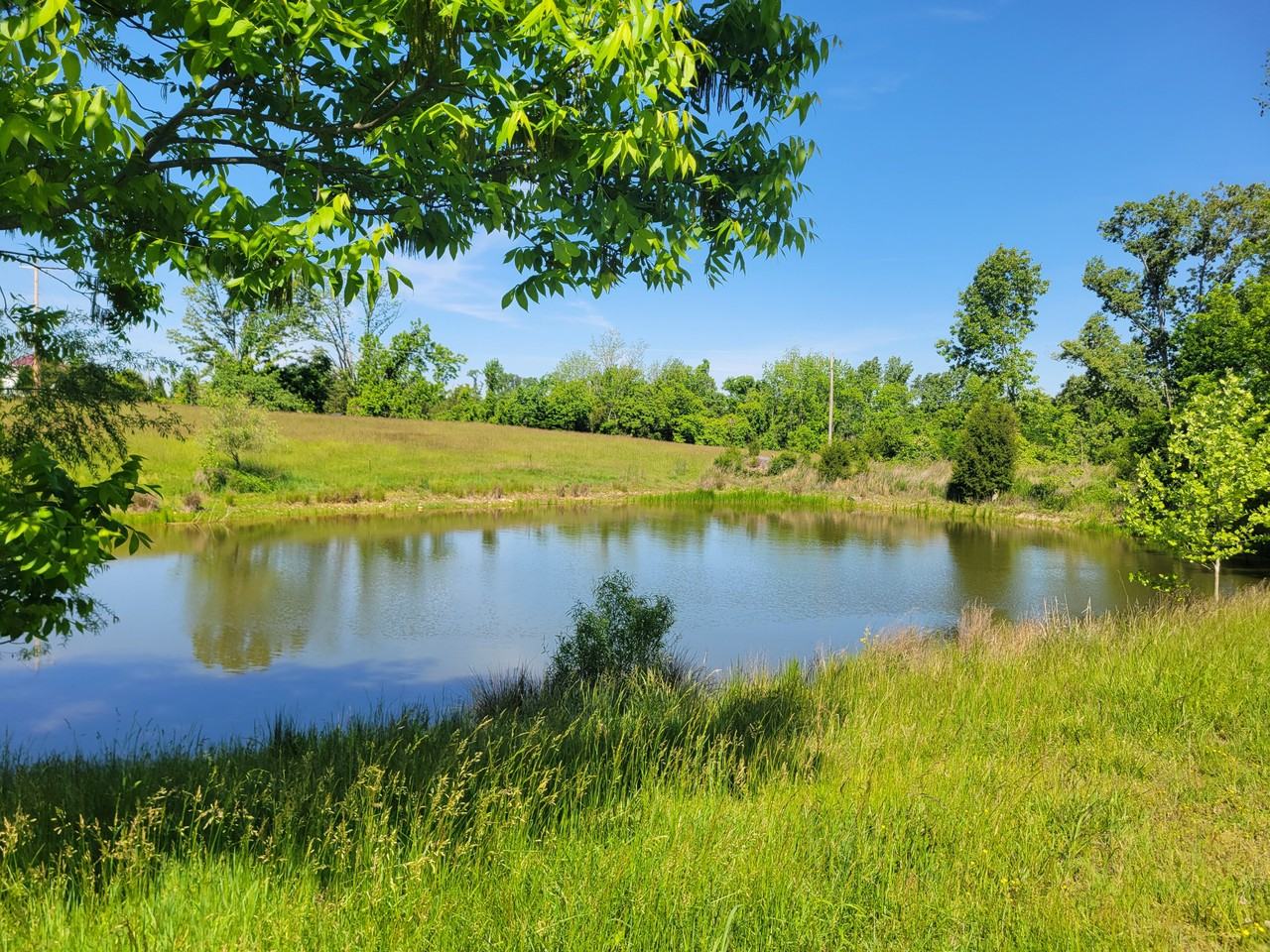 55 Boren Rd - Photo 4 of 5