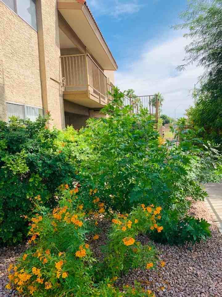 Desert Springs Apartments - Photo 6 of 47