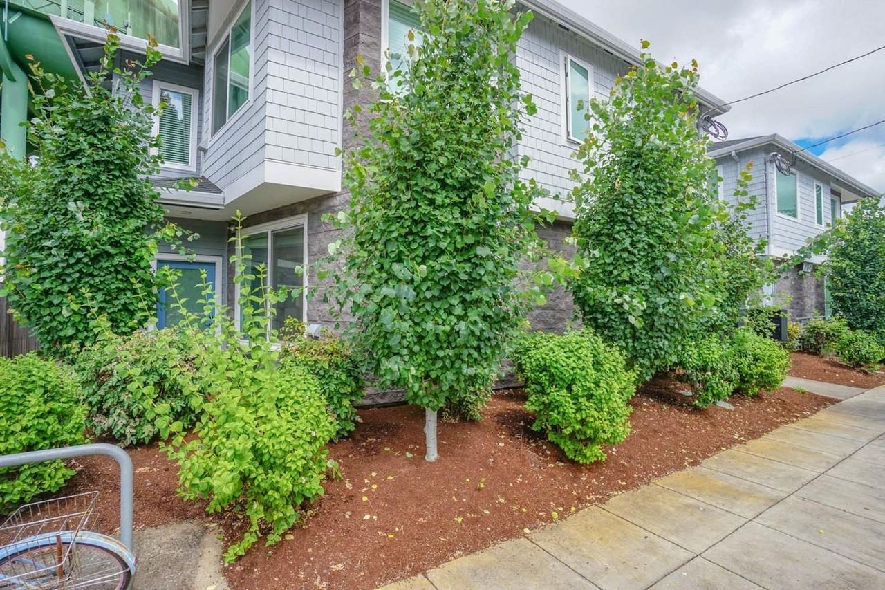 Welcome to Peregrine Place: Modern Comfort in the Heart of St. Johns - Photo 3 of 20