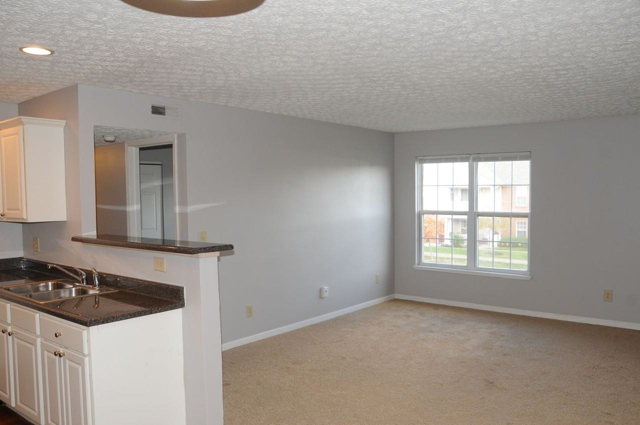 5395 Cypress Chase - Photo 5 of 17