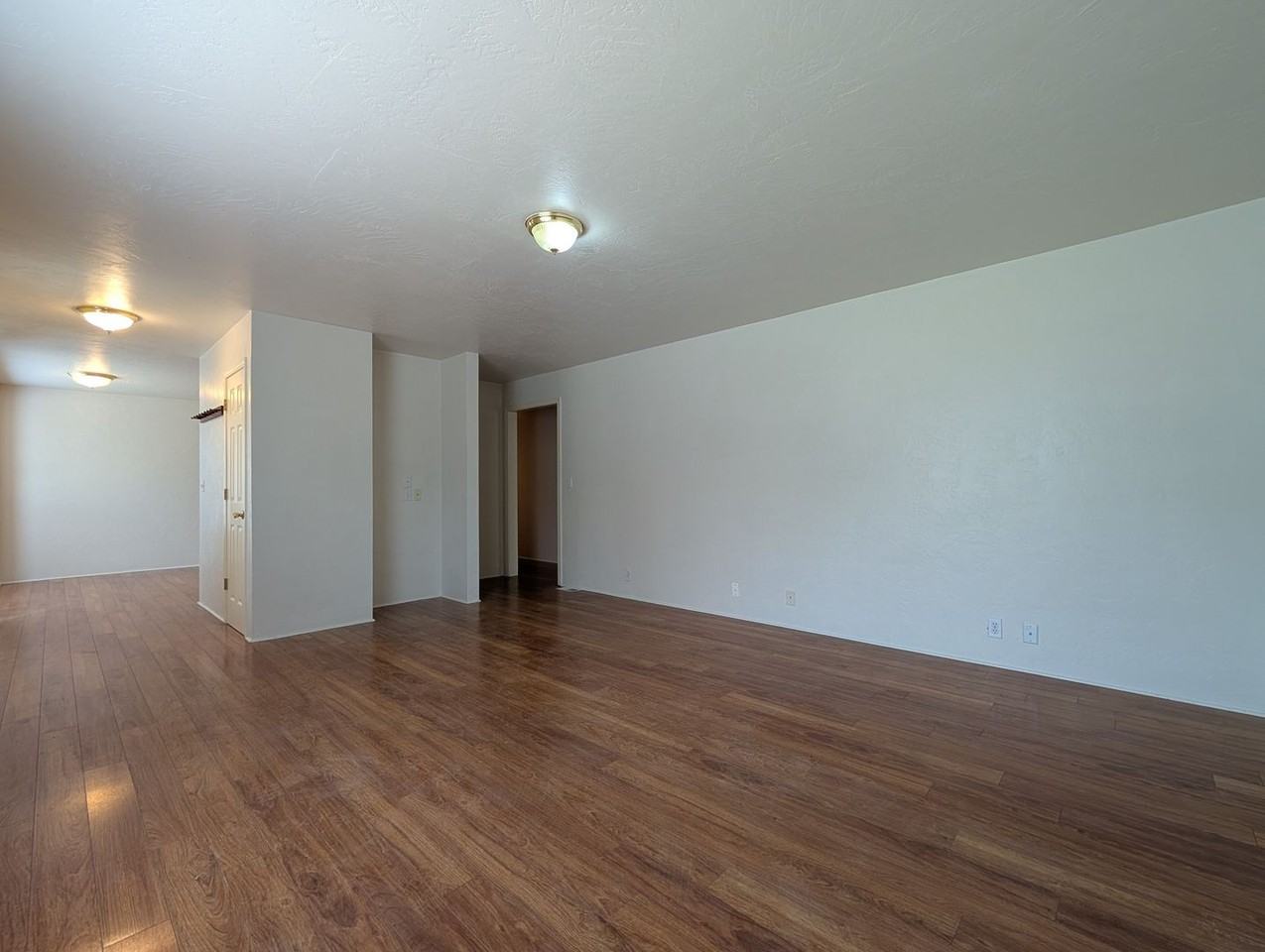 3395 Paula Ct - Photo 5 of 21