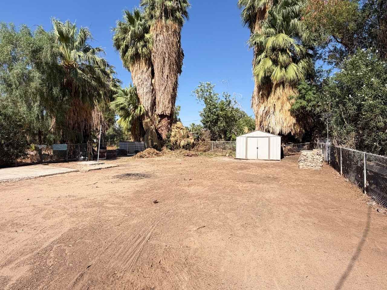 315 S Magnolia Ave - Photo 5 of 11