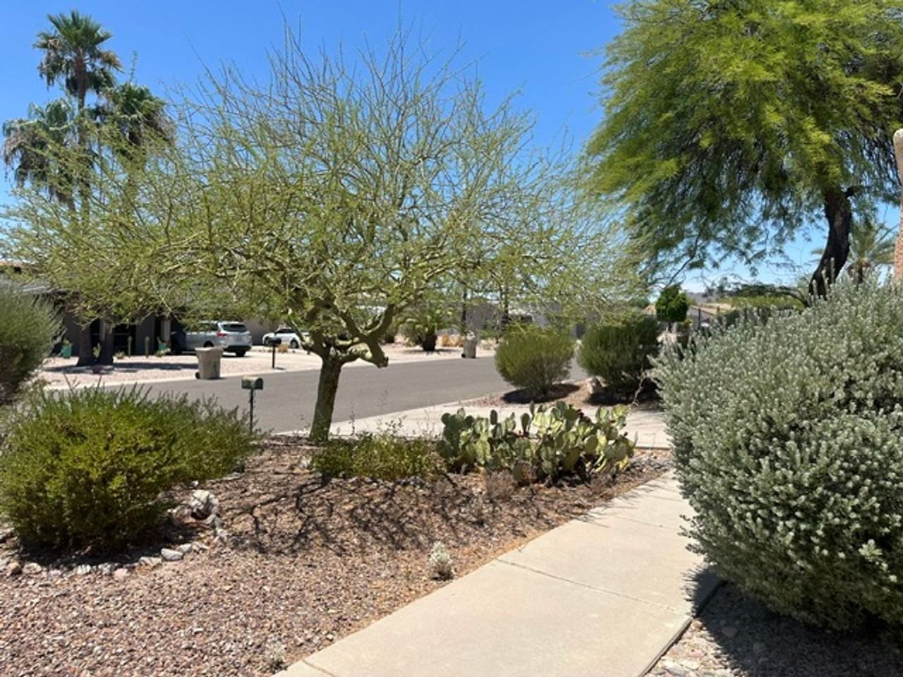 17216 E Salida Dr - Photo 4 of 50