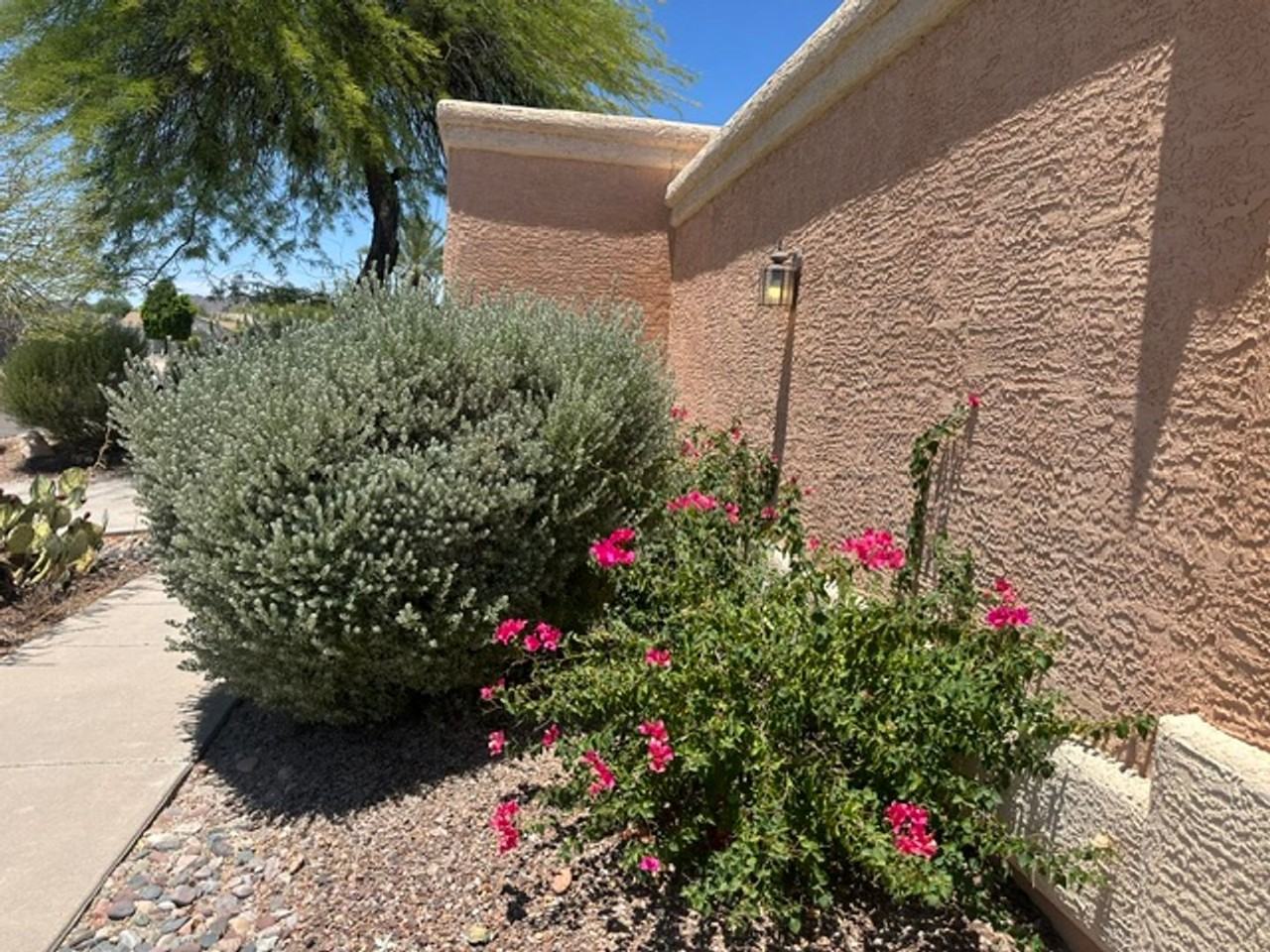17216 E Salida Dr - Photo 5 of 50
