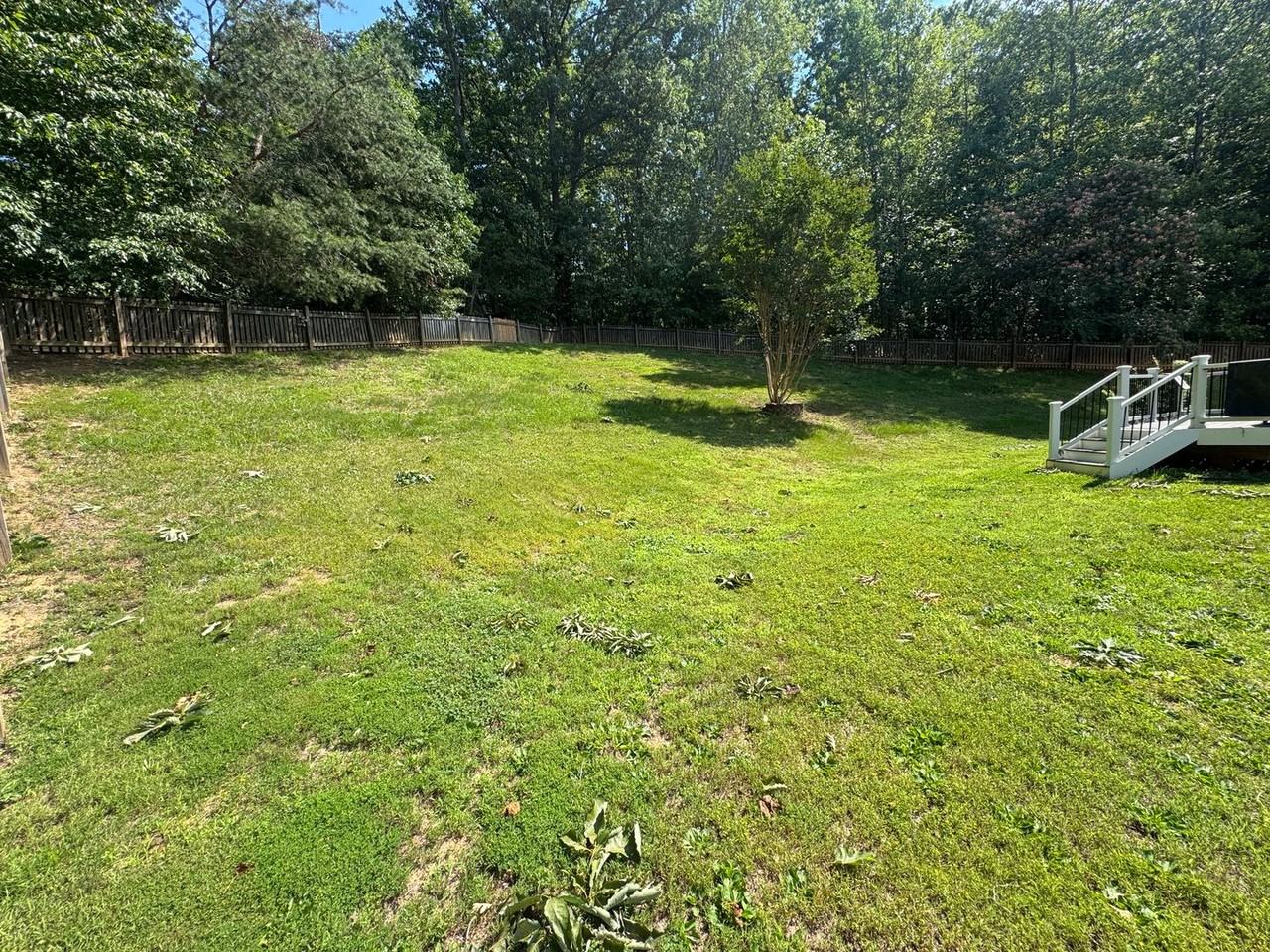 38 Kimmer Ct - Photo 5 of 10