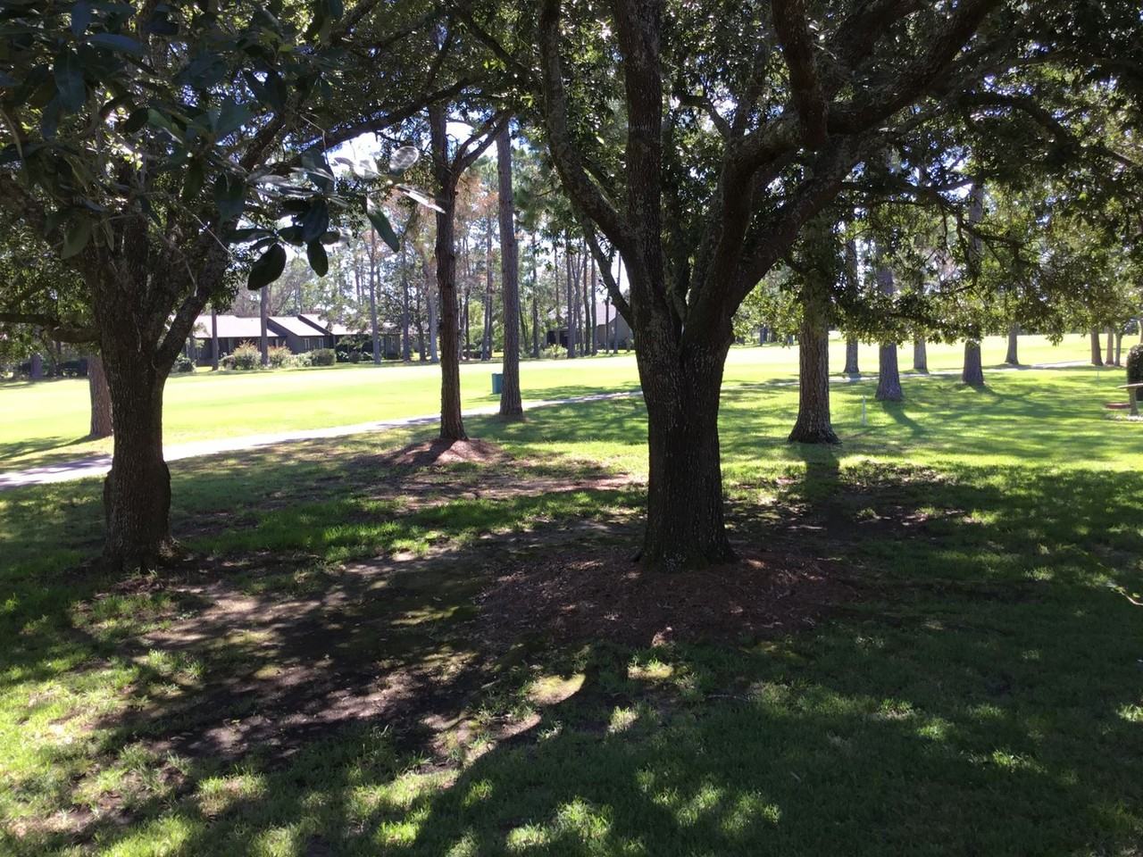 18170 18170 Scenic Highway 98 - Photo 3 of 10