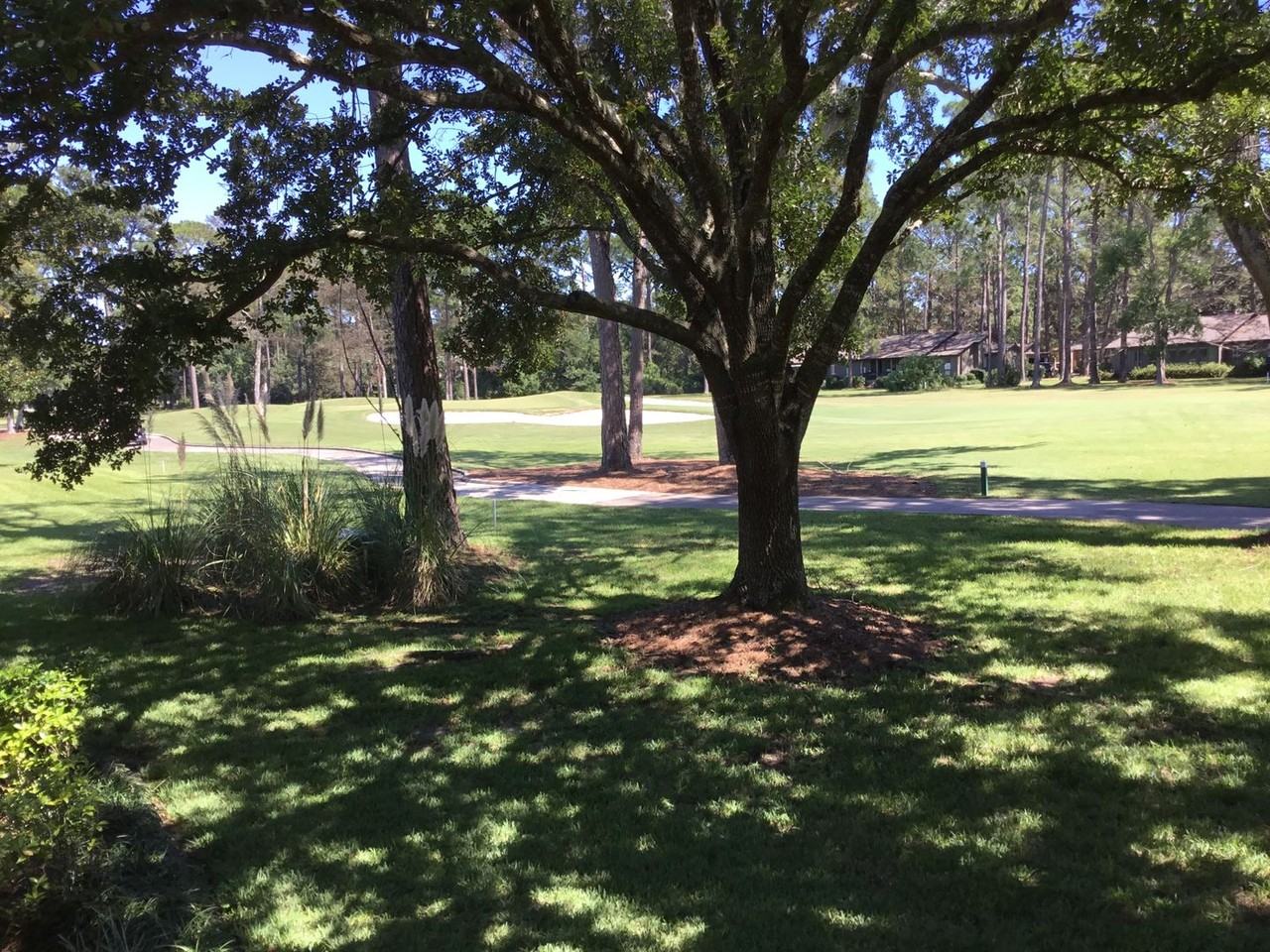 18170 18170 Scenic Highway 98 - Photo 4 of 10