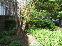 1734 Lamont St Nw #B - Photo 1 of 1