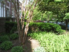 1734 Lamont St Nw #B - Photo 1 of 1