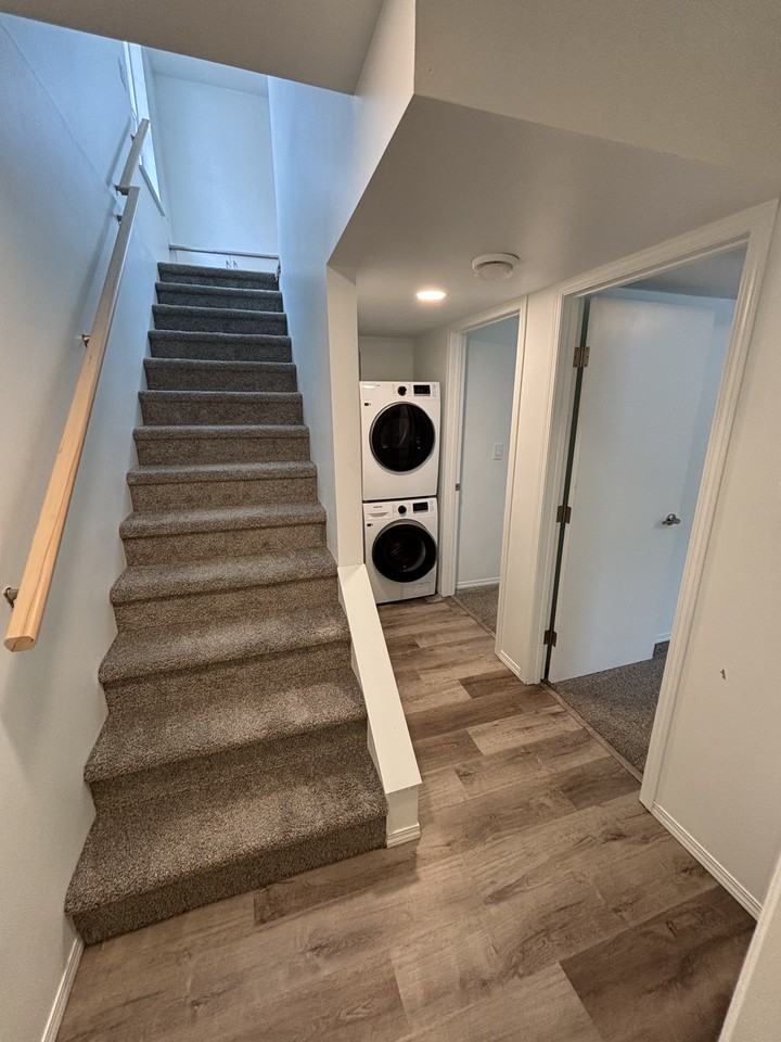 SF223 – Newton Garden Suite for Rent | 4 - Photo 5 of 27