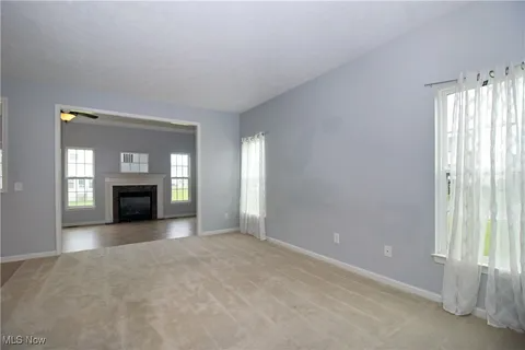 101 Yellowstone Ct - Photo 4 of 17