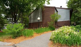 featured image of 236 Brown Bear Xing #236