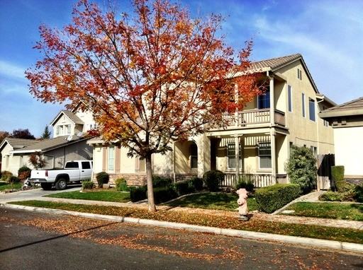 3613 Wild Oak Dr - Photo 3 of 3