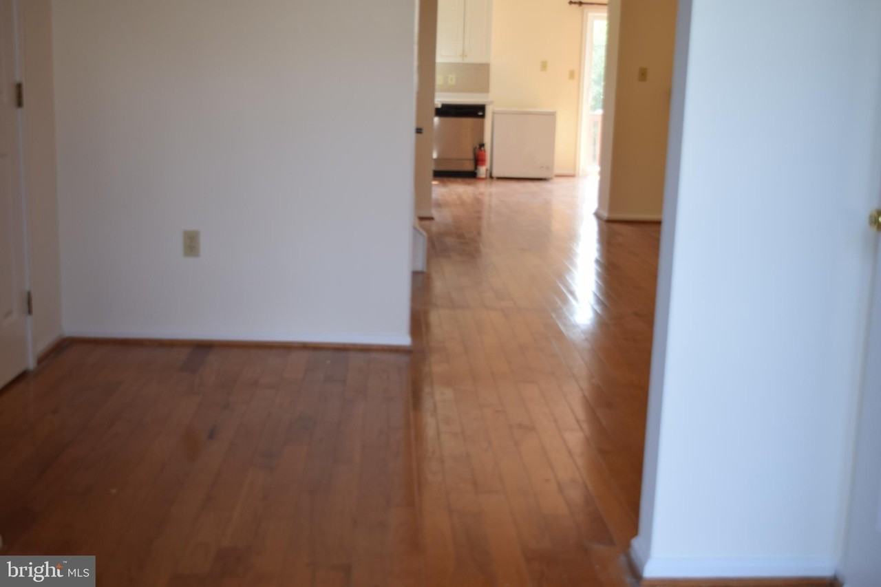713 Whitetail Cir - Photo 6 of 32