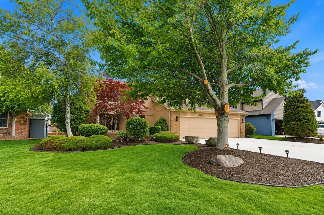 41641 Belvidere St #1032333P - Photo 4 of 50