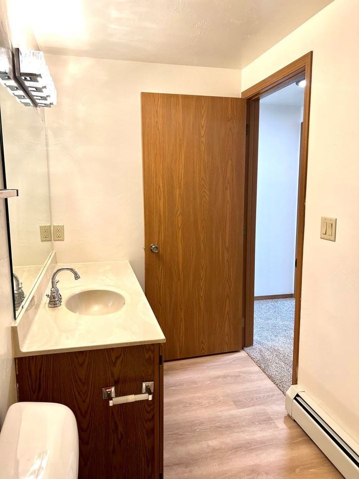 730 Abrams St - Photo 7 of 13