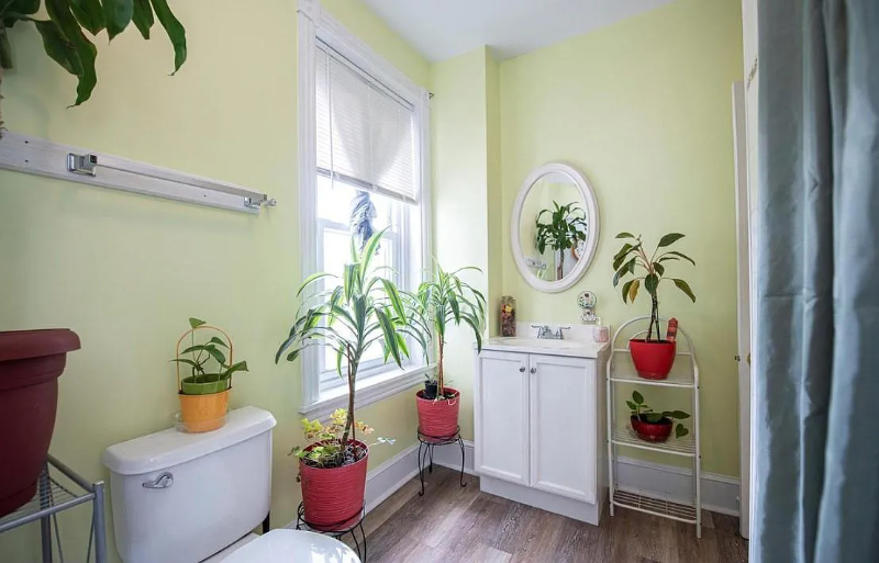 505 Washington Ave - Photo 3 of 9