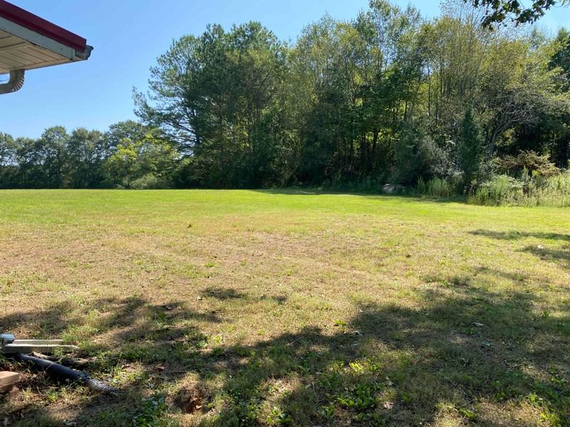 111 Boldo Rd - Photo 2 of 6