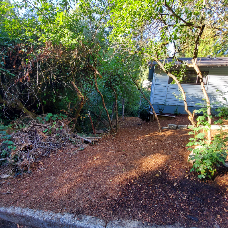 4515 Sw Caldew St - Photo 2 of 23