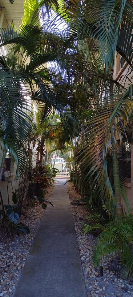 10215 Manatee Ave W #3 - Photo 3 of 16