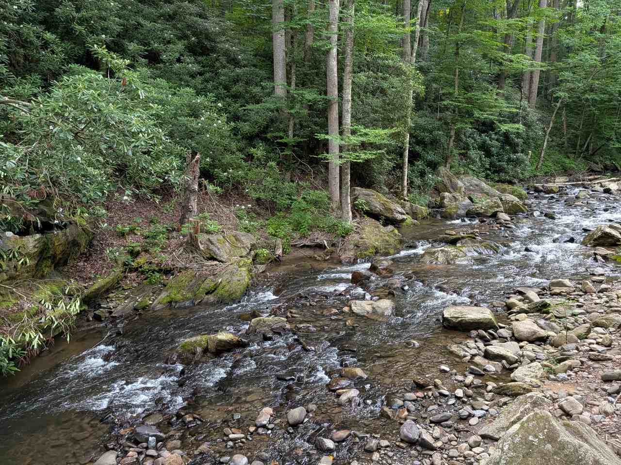 814 Heaton Creek Rd #NA - Photo 6 of 20