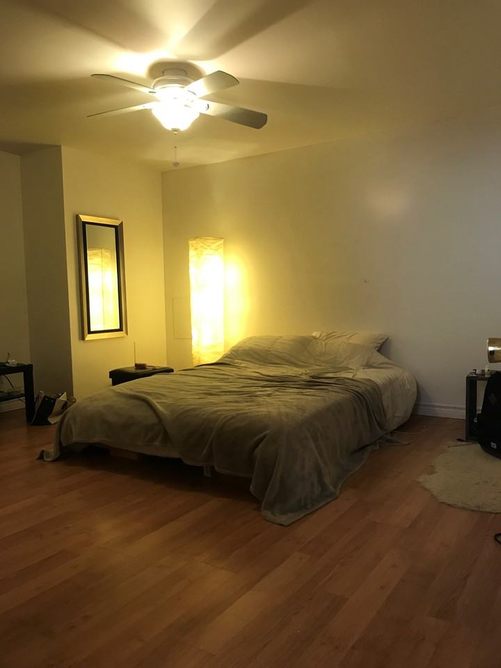 355 Rue Wilbrod Street #1 - Photo 5 of 6
