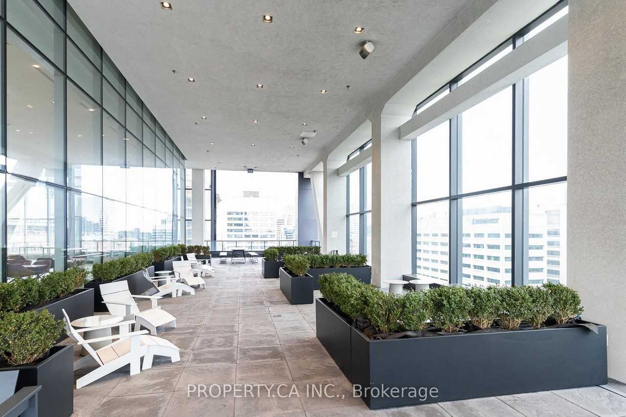 488 University Avenue - Photo 39