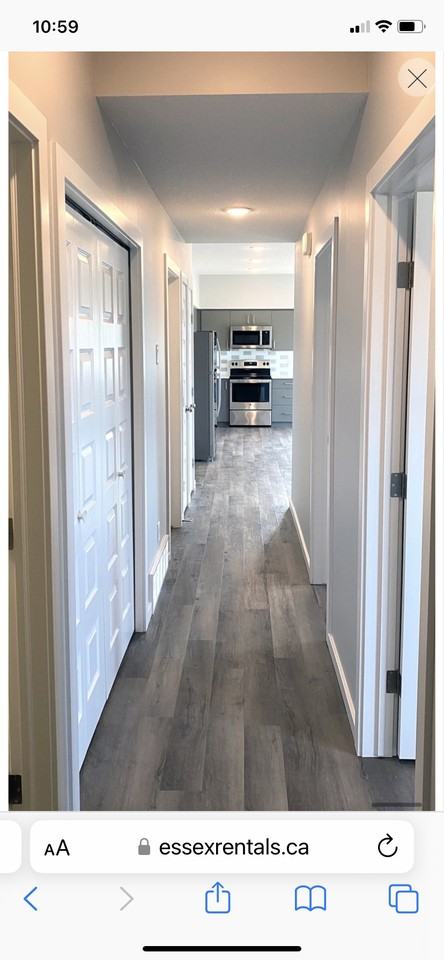 6 Sun Meadows Way - Photo 6 of 13
