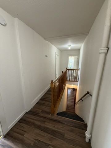 1006 Walnut St #1 - Photo 7 of 17