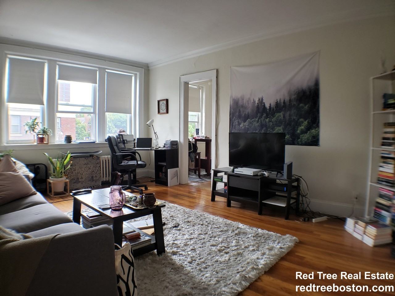 2045 Commonwealth Ave #43